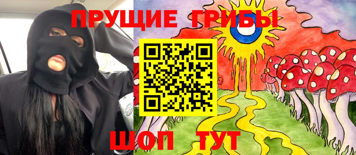 Псилоцибиновые грибы мицелий Хасавюрт