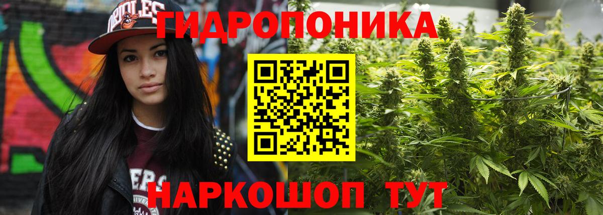 Бошки Шишки AK-47 Хасавюрт